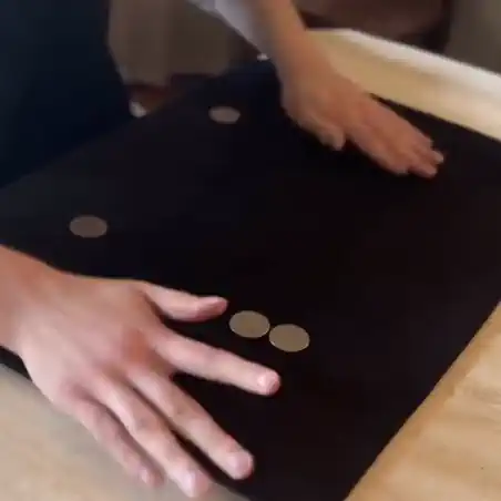 The RCEC's Standard coin magic show
